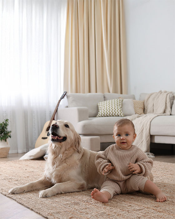 dog and babysitting on rug in living room